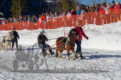 20190217_r06_024_R06_0042.jpg