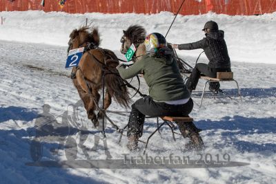 20190217_r06_048_R06_0025.jpg