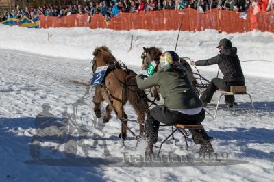 20190217_r06_049_R06_0026.jpg