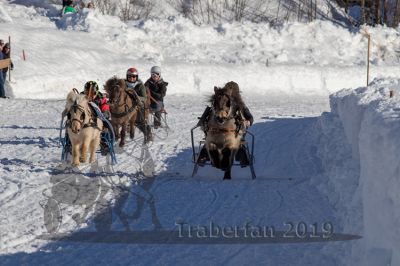 20190217_r06_055_R06_0033.jpg