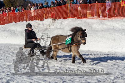 20190217_r06_104_R06_0061.jpg