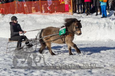 20190217_r06_106_R06_0064.jpg