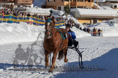 20190217_r07_021_R07_0022.jpg