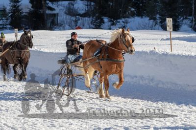 20190217_r07_027_R07_0034.jpg
