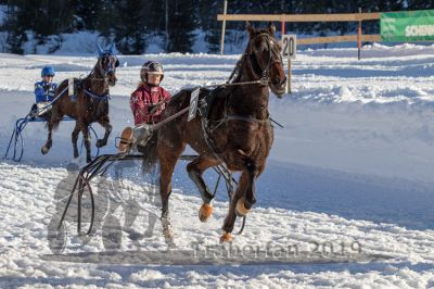 20190217_r08_014_R08_0015.jpg