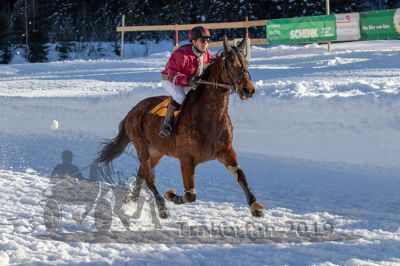 20190217_r09_012_R09_0013.jpg