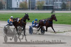 Dateiname=20241014_r08_2_104_R06_0141.jpg
Dateigröße=279KB
Abmessungen: 1000x667
hinzugefügt am: 16. Oktober 2024 20241014_r08_2_104_R06_0141.jpg
