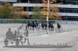 Dateiname=20241014_r08_3_107_R08_0190.jpg
Dateigröße=335KB
Abmessungen: 1000x667
hinzugefügt am: 16. Oktober 2024 20241014_r08_3_107_R08_0190.jpg