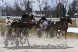 Dateiname=20250313_r01_073_R01_0142.jpg
Dateigröße=291KB
Abmessungen: 1000x667
hinzugefügt am: 13. März 2025 20250313_r01_073_R01_0142.jpg