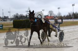 Dateiname=20250313_r01_160_R01_0296.jpg
Dateigröße=255KB
Abmessungen: 1000x667
hinzugefügt am: 13. März 2025 20250313_r01_160_R01_0296.jpg