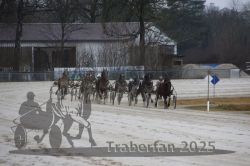 Dateiname=20250313_r02_088_R02_0188.jpg
Dateigröße=267KB
Abmessungen: 1000x667
hinzugefügt am: 14. März 2025 20250313_r02_088_R02_0188.jpg