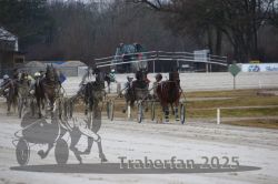 Dateiname=20250313_r02_090_R02_0190.jpg
Dateigröße=257KB
Abmessungen: 1000x667
hinzugefügt am: 14. März 2025 20250313_r02_090_R02_0190.jpg