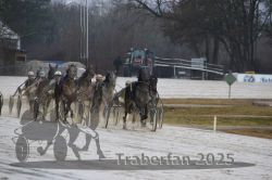 Dateiname=20250313_r03_112_R03_0209.jpg
Dateigröße=265KB
Abmessungen: 1000x667
hinzugefügt am: 14. März 2025 20250313_r03_112_R03_0209.jpg