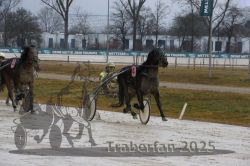Dateiname=20250313_r03_126_R03_0227.jpg
Dateigröße=295KB
Abmessungen: 1000x667
hinzugefügt am: 14. März 2025 20250313_r03_126_R03_0227.jpg