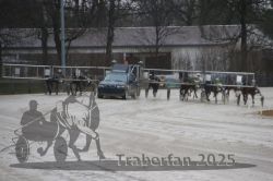 Dateiname=20250313_r05_048_R04_0403.jpg
Dateigröße=238KB
Abmessungen: 1000x667
hinzugefügt am: 14. März 2025 20250313_r05_048_R04_0403.jpg