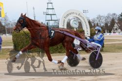 Dateiname=20250323_r04_021_R04_0088.jpg
Dateigröße=279KB
Abmessungen: 1000x667
hinzugefügt am: 24. März 2025 20250323_r04_021_R04_0088.jpg