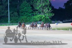 Dateiname=20250518_r13_078_R13_0214.jpg
Dateigröße=362KB
Abmessungen: 1000x667
hinzugefügt am: 20. Mai 2025 20250518_r13_078_R13_0214.jpg