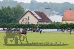Dateiname=20250610_r09_085_R09_0155.jpg
Dateigröße=347KB
Abmessungen: 1000x667
hinzugefügt am: 12. Juni 2025 20250610_r09_085_R09_0155.jpg
