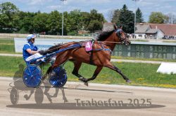 Dateiname=20250723_r02_032_R02_0056.jpg
Dateigröße=336KB
Abmessungen: 1000x667
hinzugefügt am: 23. Juli 2025 20250723_r02_032_R02_0056.jpg