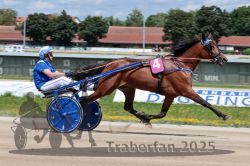 Dateiname=20250723_r02_034_R02_0059.jpg
Dateigröße=323KB
Abmessungen: 1000x667
hinzugefügt am: 23. Juli 2025 20250723_r02_034_R02_0059.jpg