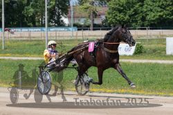 Dateiname=20250723_r02_038_R02_0063.jpg
Dateigröße=341KB
Abmessungen: 1000x667
hinzugefügt am: 23. Juli 2025 20250723_r02_038_R02_0063.jpg