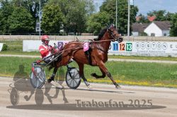 Dateiname=20250723_r02_049_R02_0079.jpg
Dateigröße=371KB
Abmessungen: 1000x667
hinzugefügt am: 23. Juli 2025 20250723_r02_049_R02_0079.jpg