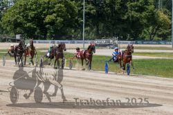 Dateiname=20250723_r02_091_R02_0146.jpg
Dateigröße=400KB
Abmessungen: 1000x667
hinzugefügt am: 23. Juli 2025 20250723_r02_091_R02_0146.jpg