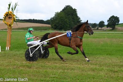 20250727_imp_121_DSC_5468.jpg