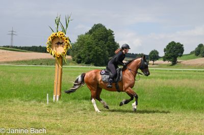 20250727_imp_163_DSC_5515.jpg