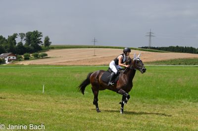 20250727_imp_165_DSC_5517.jpg