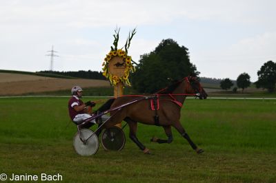 20250727_imp_195_DSC_5547.jpg