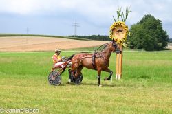 Dateiname=20250727_imp_134_DSC_5485.jpg
Dateigröße=684KB
Abmessungen: 1000x667
hinzugefügt am: 28. Juli 2025 20250727_imp_134_DSC_5485.jpg