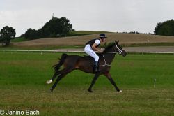 Dateiname=20250727_imp_183_DSC_5535.jpg
Dateigröße=478KB
Abmessungen: 1000x667
hinzugefügt am: 28. Juli 2025 20250727_imp_183_DSC_5535.jpg