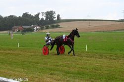 20250727_r01_048_DSC_5631.jpg