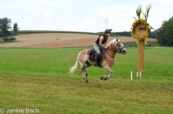 Dateiname=20250727_r02_027_DSC_5720.jpg
Dateigröße=603KB
Abmessungen: 1000x667
hinzugefügt am: 28. Juli 2025 20250727_r02_027_DSC_5720.jpg