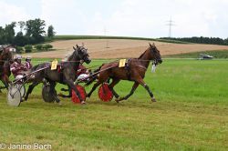 20250727_r03_042_DSC_5792.jpg