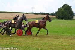 20250727_r03_043_DSC_5793.jpg