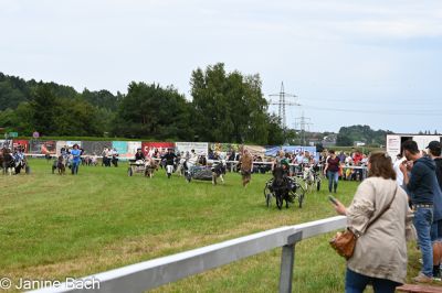 20250727_r04_016_DSC_5852.jpg