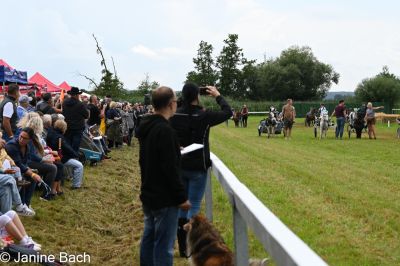 20250727_r04_038_DSC_5874.jpg