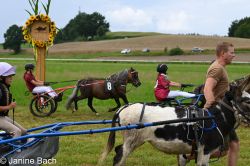 20250727_r04_049_DSC_5885.jpg