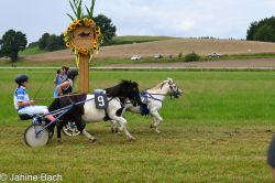 20250727_r04_070_DSC_5906.jpg