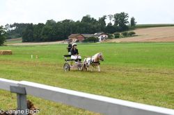20250727_r04_093_DSC_5929.jpg