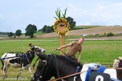 20250727_r04_118_DSC_5954.jpg