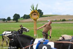 20250727_r04_119_DSC_5955.jpg