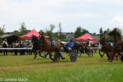 20250727_r05_063_DSC_6041.jpg