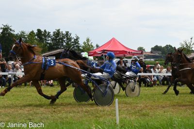 20250727_r05_066_DSC_6044.jpg