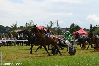 20250727_r05_082_DSC_6060.jpg