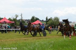 20250727_r05_062_DSC_6040.jpg