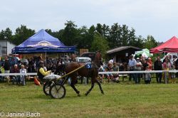 Dateiname=20250727_r05_073_DSC_6051.jpg
Dateigröße=690KB
Abmessungen: 1000x667
hinzugefügt am: 28. Juli 2025 20250727_r05_073_DSC_6051.jpg