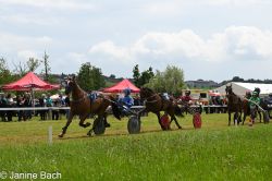 20250727_r05_104_DSC_6084.jpg